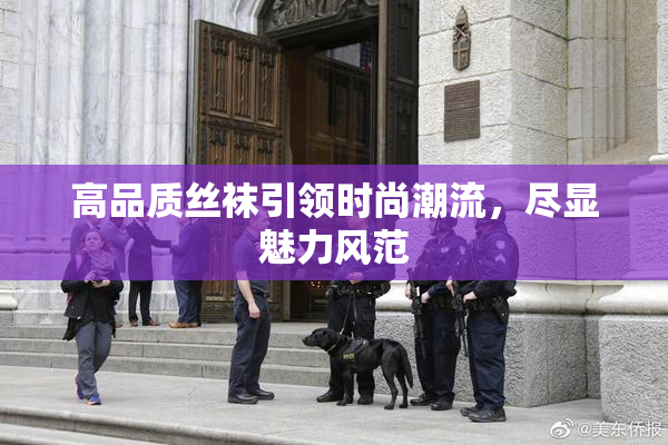 高品质丝袜引领时尚潮流，尽显魅力风范