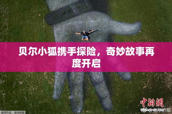 贝尔小狐携手探险，奇妙故事再度开启