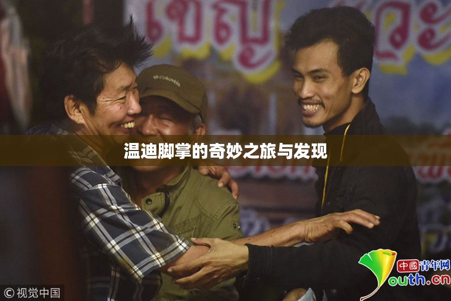 温迪脚掌的奇妙之旅与发现