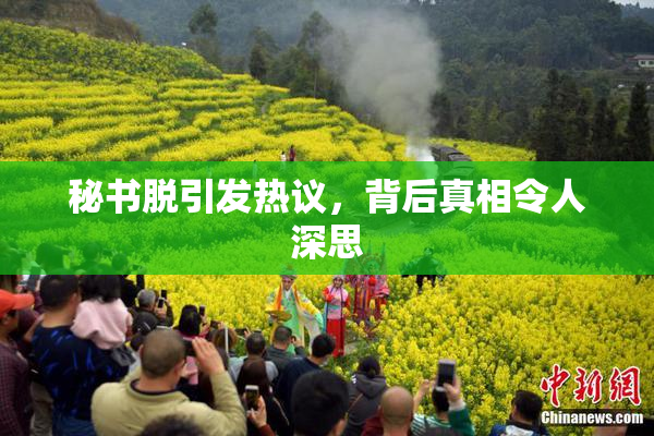 秘书脱引发热议，背后真相令人深思