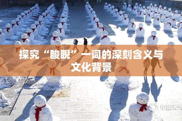 探究“睃睨”一词的深刻含义与文化背景