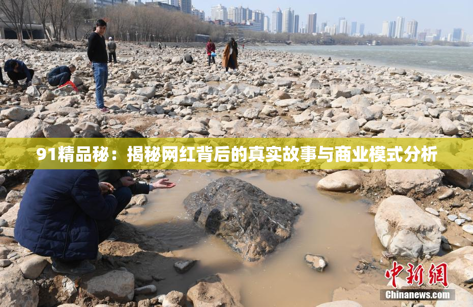 91精品秘：揭秘网红背后的真实故事与商业模式分析