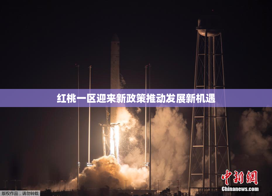红桃一区迎来新政策推动发展新机遇