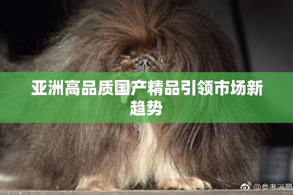 亚洲高品质国产精品引领市场新趋势