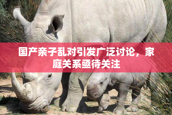 国产亲子乱对引发广泛讨论，家庭关系亟待关注