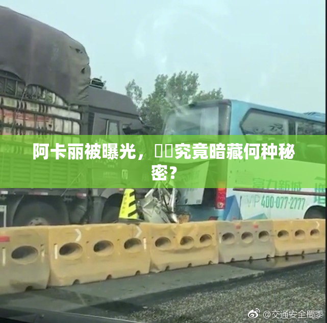 阿卡丽被曝光，❌‌究竟暗藏何种秘密？