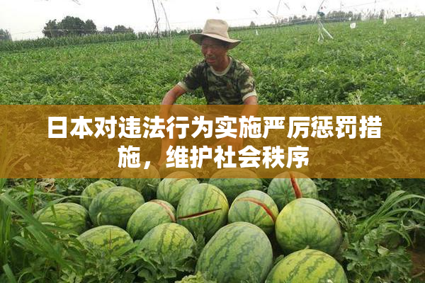 日本对违法行为实施严厉惩罚措施，维护社会秩序