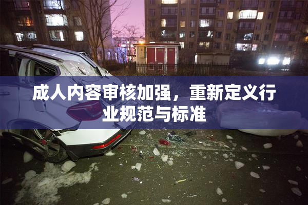 成人内容审核加强，重新定义行业规范与标准