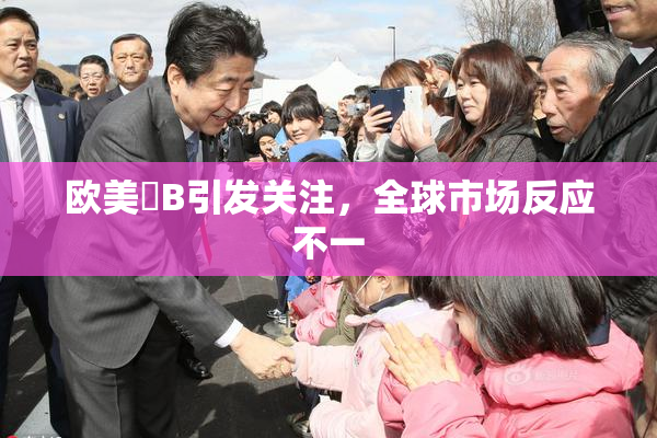 欧美槡B引发关注，全球市场反应不一