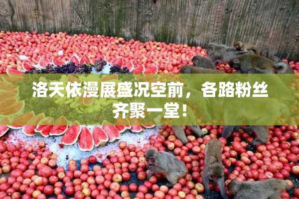 洛天依漫展盛况空前，各路粉丝齐聚一堂！