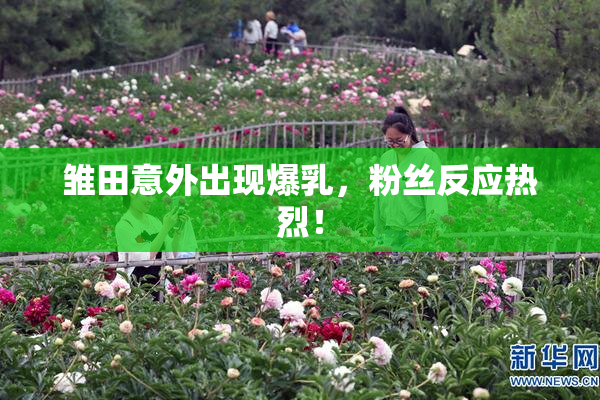 雏田意外出现爆乳，粉丝反应热烈！