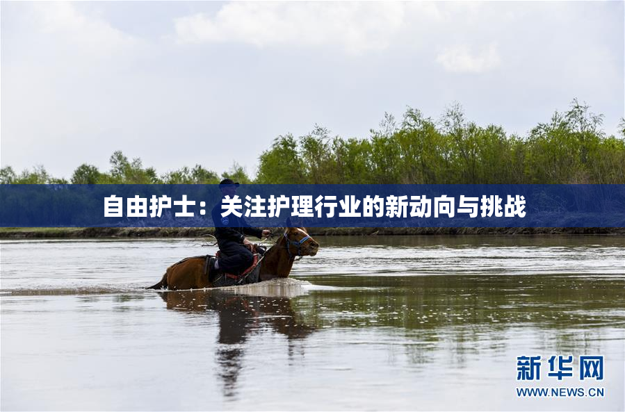 自由护士：关注护理行业的新动向与挑战