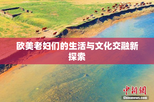 欧美老妇们的生活与文化交融新探索