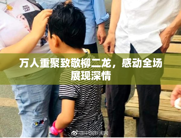 万人重聚致敬柳二龙，感动全场展现深情