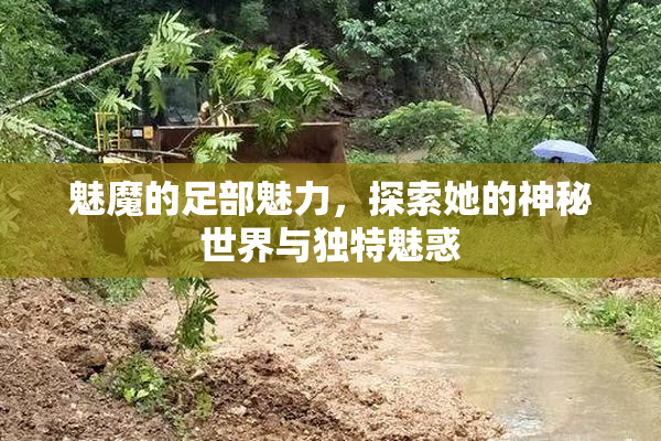 魅魔的足部魅力，探索她的神秘世界与独特魅惑