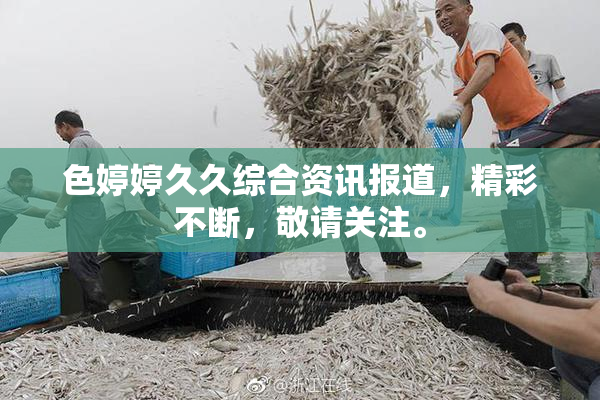 色婷婷久久综合资讯报道，精彩不断，敬请关注。