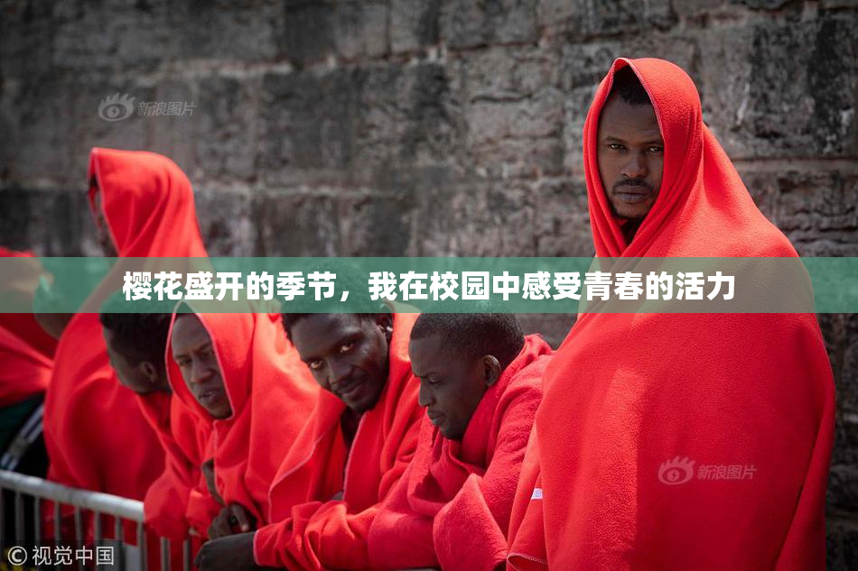 樱花盛开的季节，我在校园中感受青春的活力