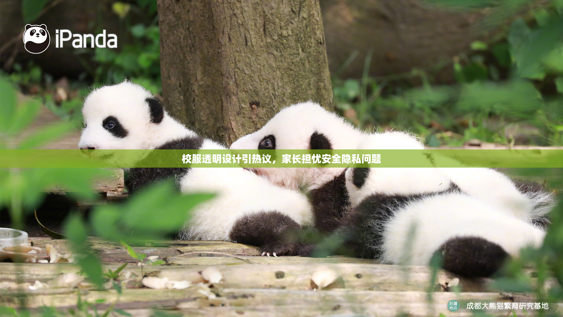 校服透明设计引热议，家长担忧安全隐私问题
