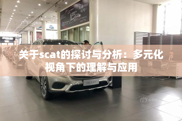 关于scat的探讨与分析：多元化视角下的理解与应用
