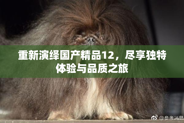 重新演绎国产精品12，尽享独特体验与品质之旅