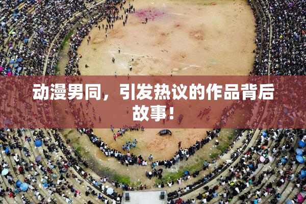 动漫男同，引发热议的作品背后故事！