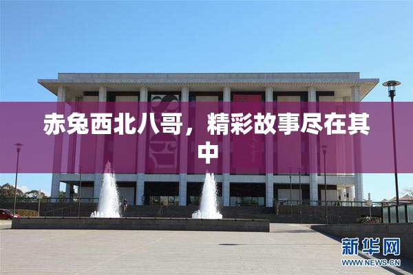 赤兔西北八哥，精彩故事尽在其中