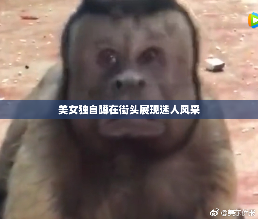 美女独自蹲在街头展现迷人风采