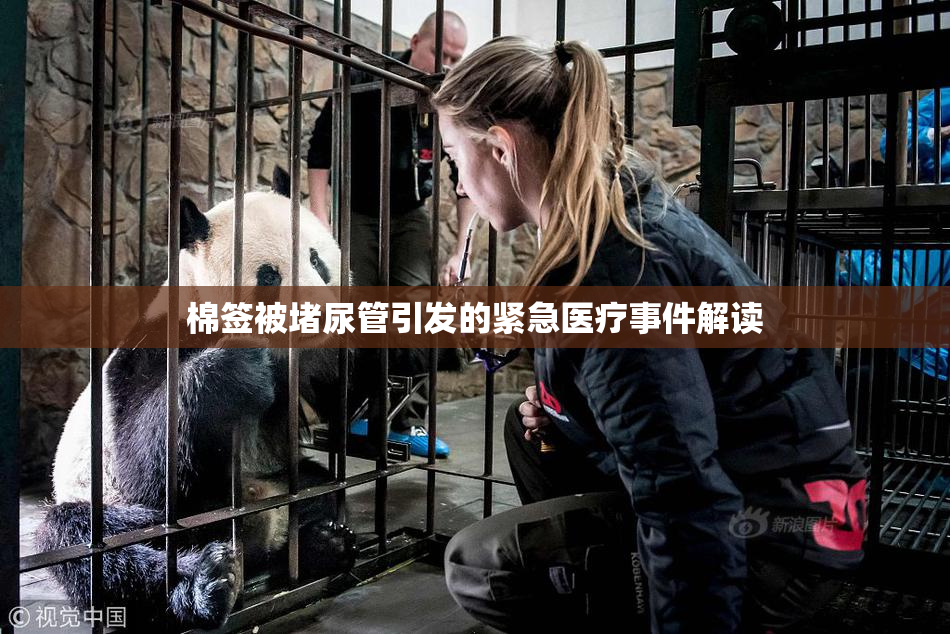 棉签被堵尿管引发的紧急医疗事件解读
