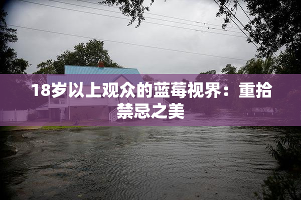 18岁以上观众的蓝莓视界：重拾禁忌之美