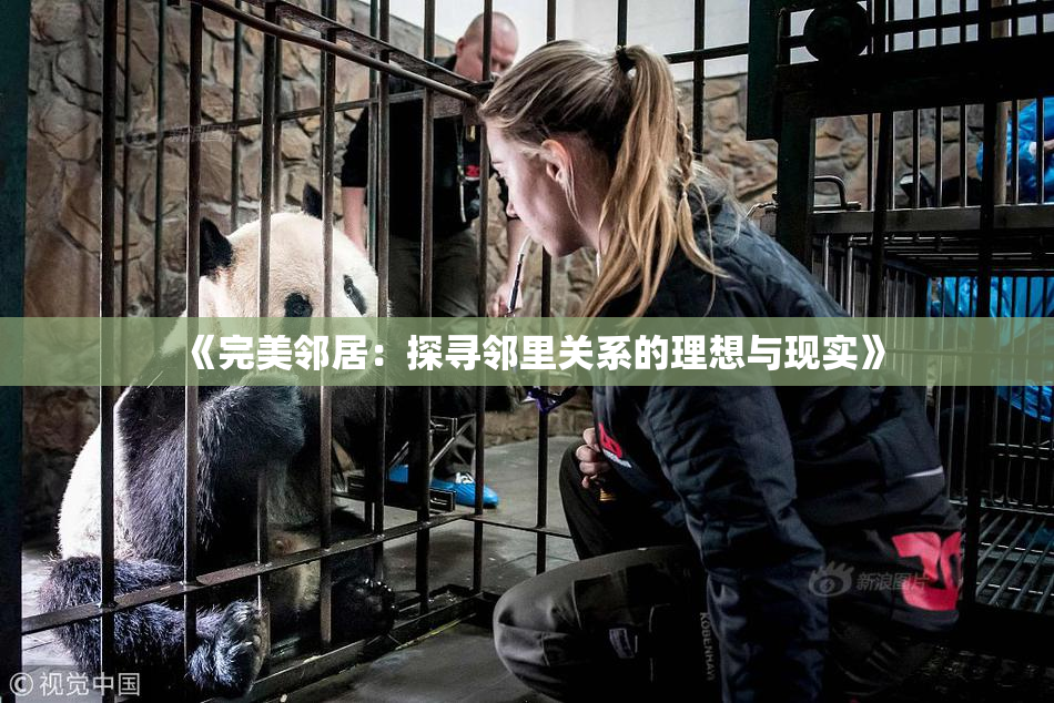 《完美邻居：探寻邻里关系的理想与现实》