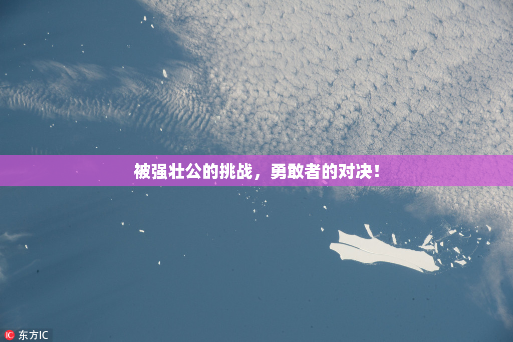 被强壮公的挑战，勇敢者的对决！