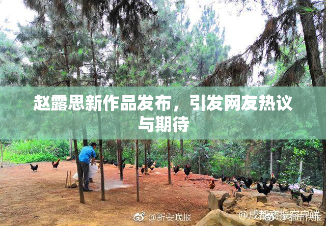 赵露思新作品发布，引发网友热议与期待