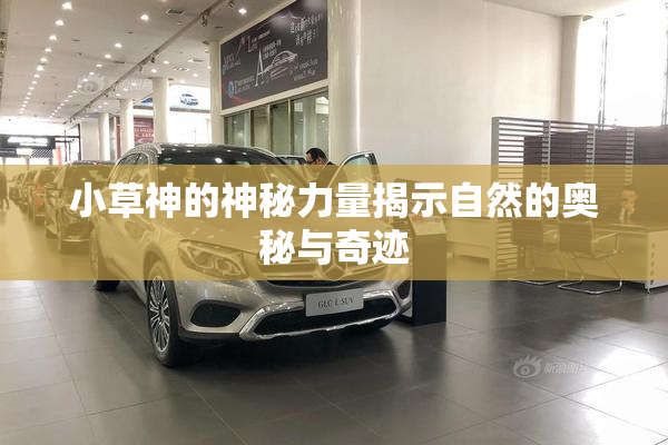 小草神的神秘力量揭示自然的奥秘与奇迹