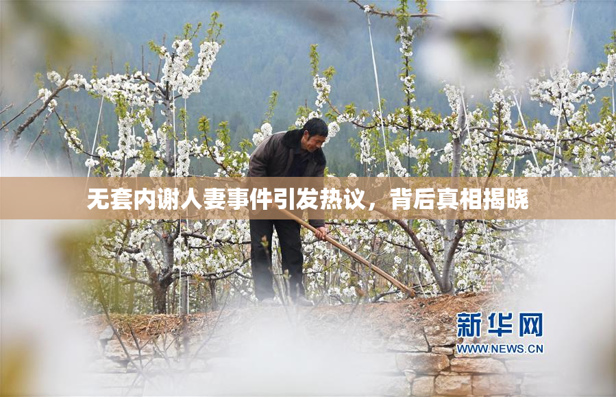 无套内谢人妻事件引发热议，背后真相揭晓