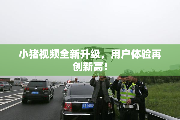 小猪视频全新升级，用户体验再创新高！