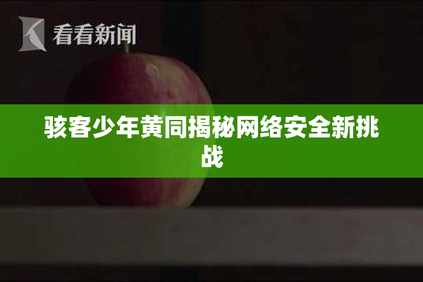 骇客少年黄同揭秘网络安全新挑战