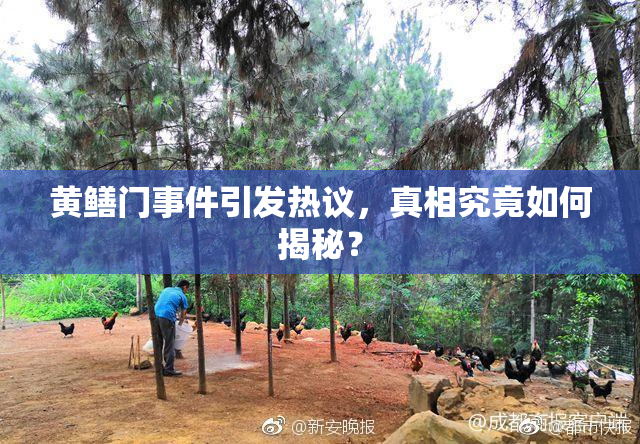 黄鳝门事件引发热议，真相究竟如何揭秘？