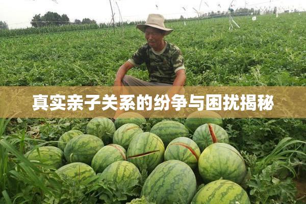 真实亲子关系的纷争与困扰揭秘