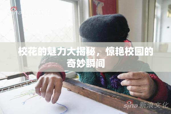 校花的魅力大揭秘，惊艳校园的奇妙瞬间