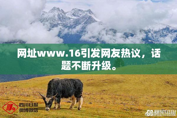 网址www.16引发网友热议，话题不断升级。