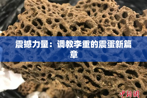 震撼力量：调教李重的震蛋新篇章