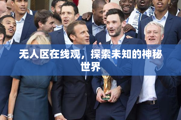 无人区在线观，探索未知的神秘世界