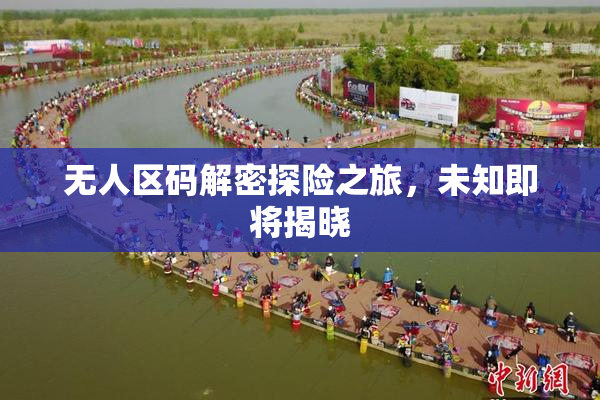 无人区码解密探险之旅，未知即将揭晓