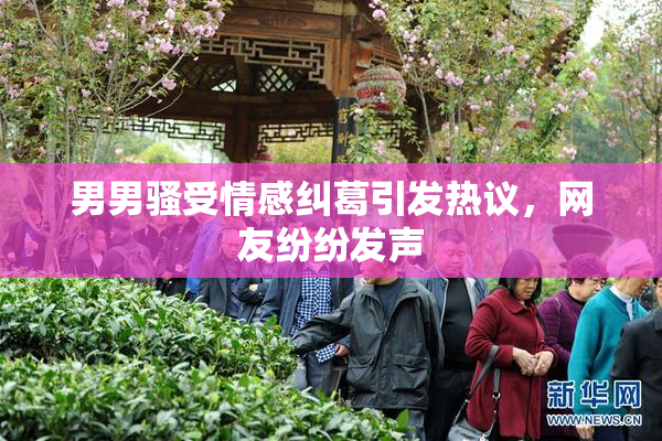 男男骚受情感纠葛引发热议，网友纷纷发声