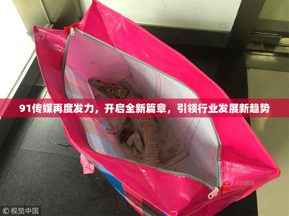 91传媒再度发力，开启全新篇章，引领行业发展新趋势