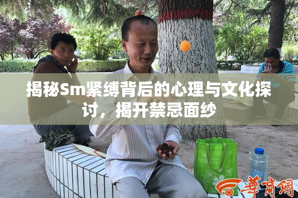 揭秘Sm紧缚背后的心理与文化探讨，揭开禁忌面纱