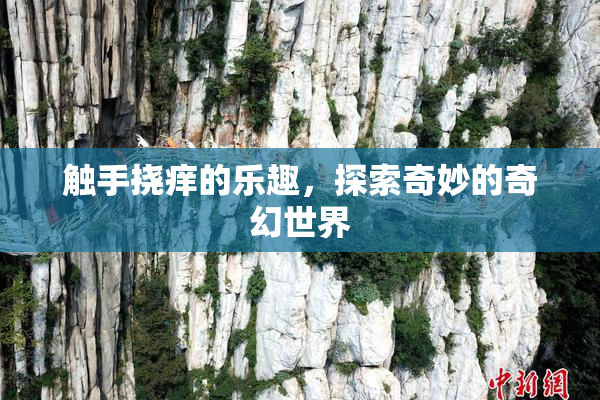 触手挠痒的乐趣，探索奇妙的奇幻世界