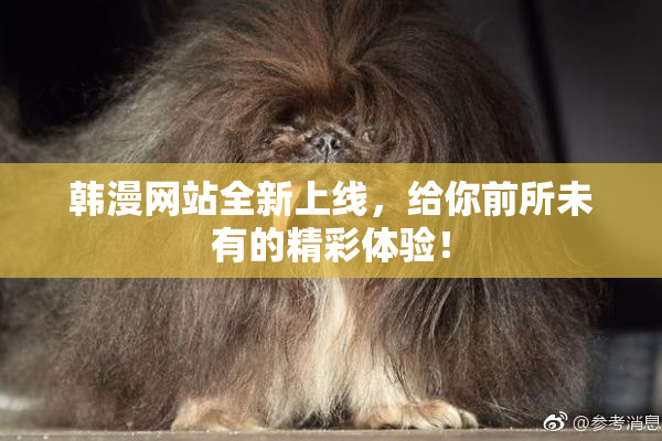 韩漫网站全新上线，给你前所未有的精彩体验！