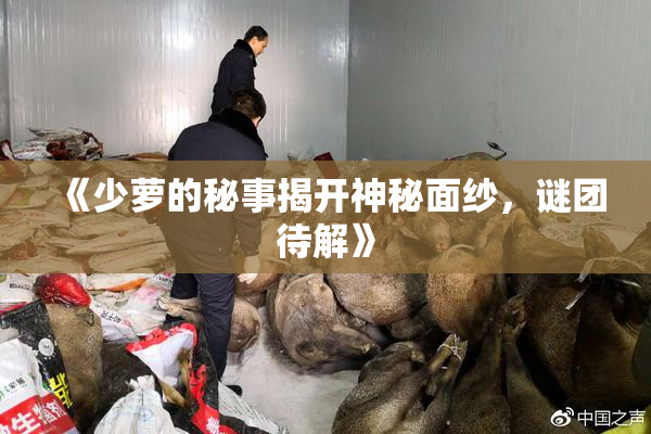 《少萝的秘事揭开神秘面纱，谜团待解》