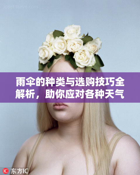 雨伞的种类与选购技巧全解析，助你应对各种天气